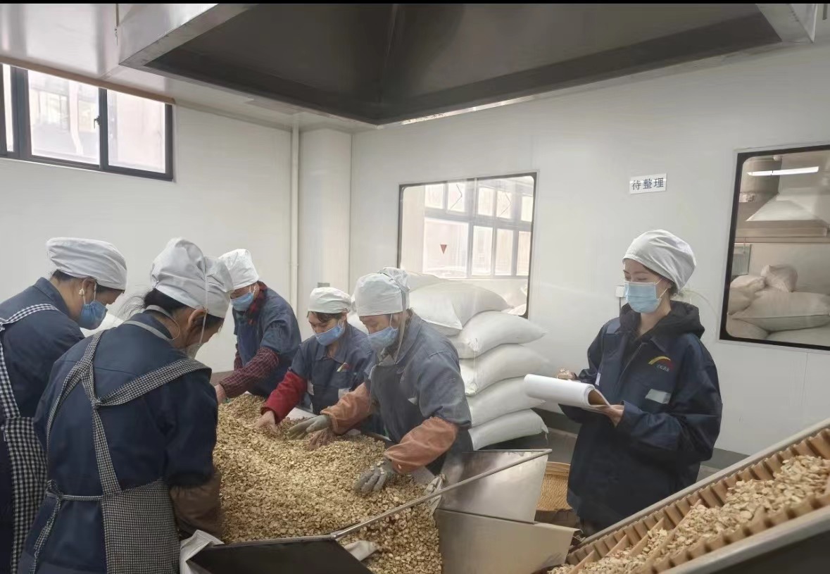 Qingdao Biohoer Biotech Co., Ltd. telah secara resmi memulai konstruksi