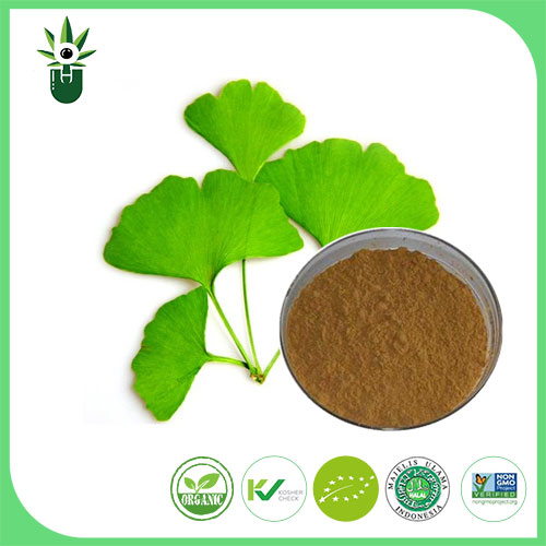 Gejala apa yang dapat digunakan oleh Ginkgo Biloba Leaf Extract untuk meringankan?