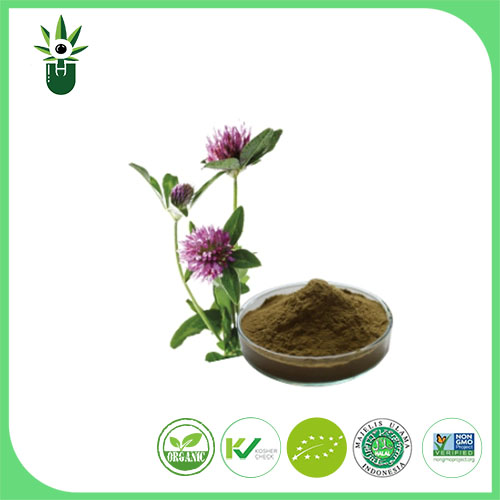 Ekstrak Medicago sativa L