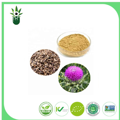 Ekstrak milk thistle